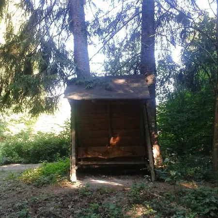 Am Neckarsteig Neckarsteinach