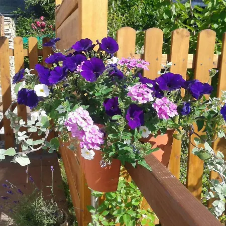 Am Neckarsteig Апартаменты