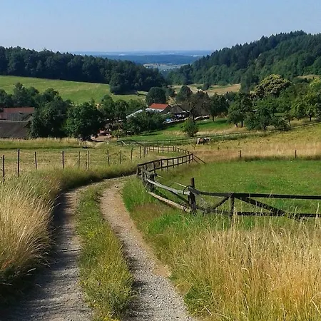 Am Neckarsteig Daire *