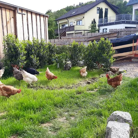 Am Neckarsteig * Неккарштайнах